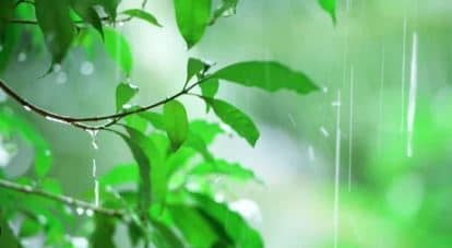 मॉनसून अभी है एक्टिव, झारखंड के कई हिस्सों में झमाझम बारिश की संभावना