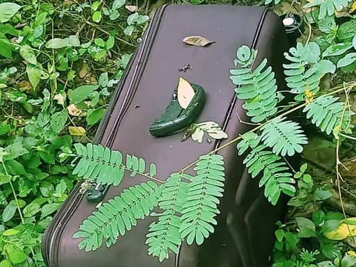 पटना : ट्रॉली बैग में मिला युवक का शव, जांच में जुटी पुलिस 