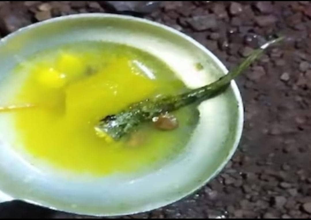 छिपकली गिरे भोजन खाने से बड़ी संख्या में बच्चे बीमार, जानिए कहां का है मामला