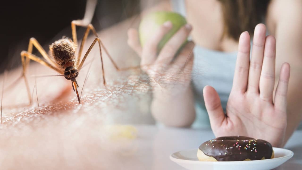 डेंगू होने पर ये डाइइट आपके प्लेटलेट्स काउंट को बढ़ाने में मददगार, वहीं इन खानों से रहे दूर 