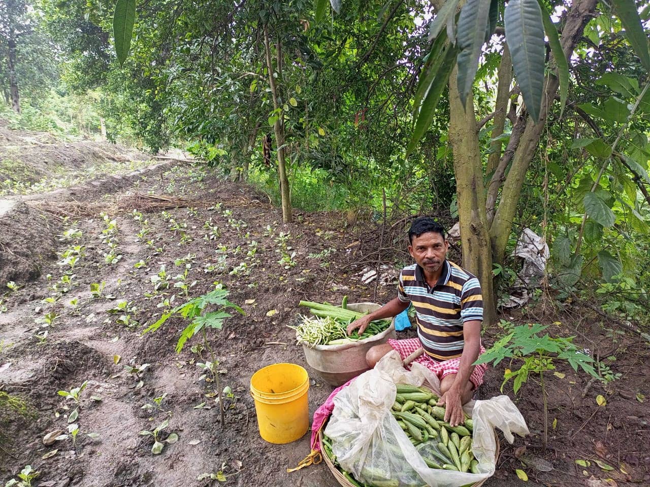 जमीं के भीतर धधक रही आग, ऊपर लहलहा रही फसलें