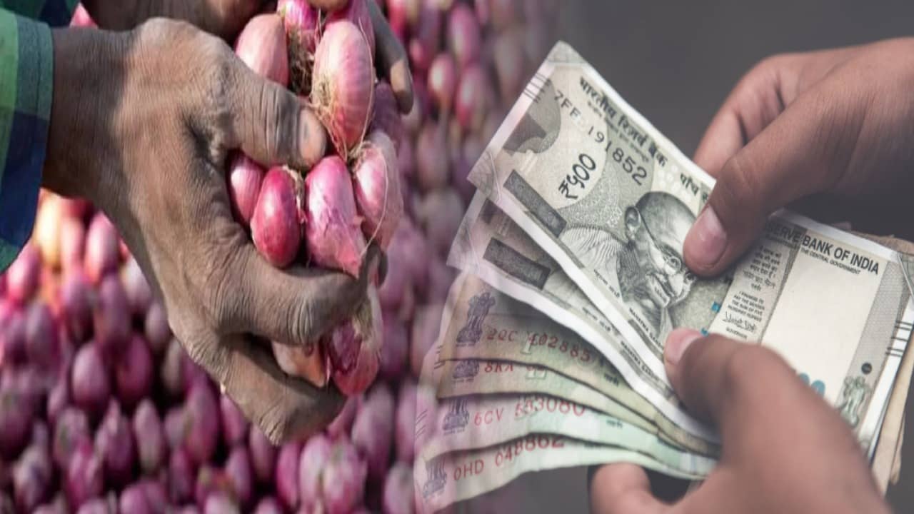 यहां मात्र 25 रुपये में बिक रहा है प्याज, खरीदने के लिए लाइन में लगे लोग, जानिए