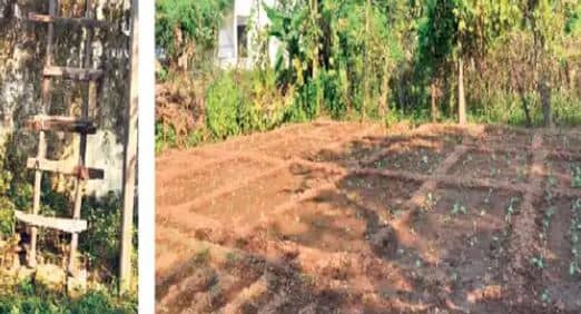 अजूबा झारखंड, गजब का खेल! रांची विश्वविद्यालय की 20 डिसमिल जमीन पर बरसों से हो रही है सब्जी की अवैध खेती, विश्वविद्यालय प्रशासन अनजान