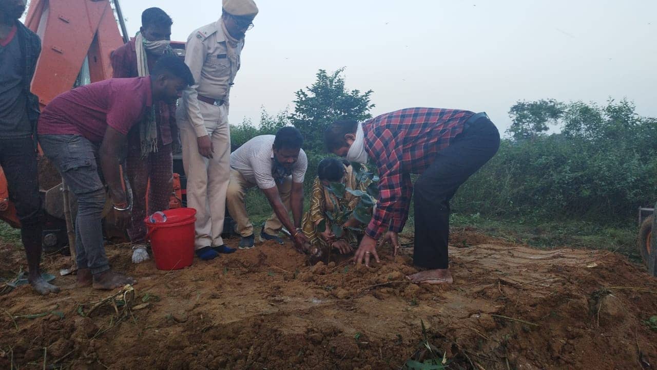 जमशेदपुर:11 हजार वोल्ट तार की चपेट में आने से मादा हाथी की मौत, डीएफओ ने दिया उचित कार्रवाई का भरोसा