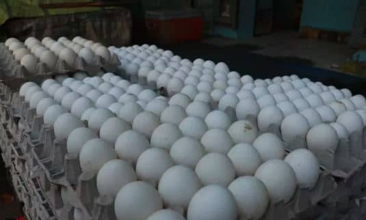 सर्दी ने अंडे की कीमत भी बढ़ा दी, कड़ाके की ठंड के चलते बाजार में महंगा बिक रहा अंडा