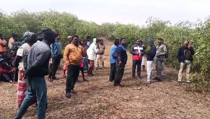 जामताड़ा : जंगल में पेड़ से लटका मिला अज्ञात युवक का शव, जांच में जुटी पुलिस