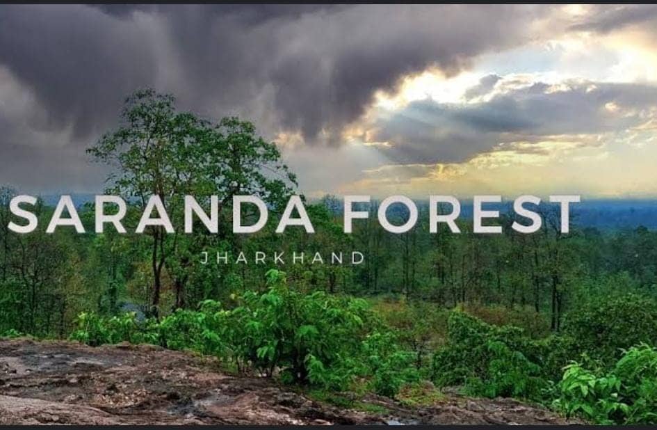 Jharkhand tourism:नये साल को बनाना चाहते है खास, तो घूमने आयें सारंडा वन! 700 पहाड़ियों से घिरा वन आपको कर देगा रोमांचित