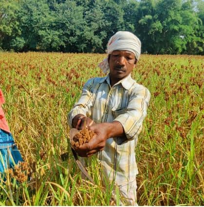 झारखंड में मिलेट्स मिशन, जानिए क्या है ये और हेमंत सरकार क्यों कर रही प्रोत्साहित
