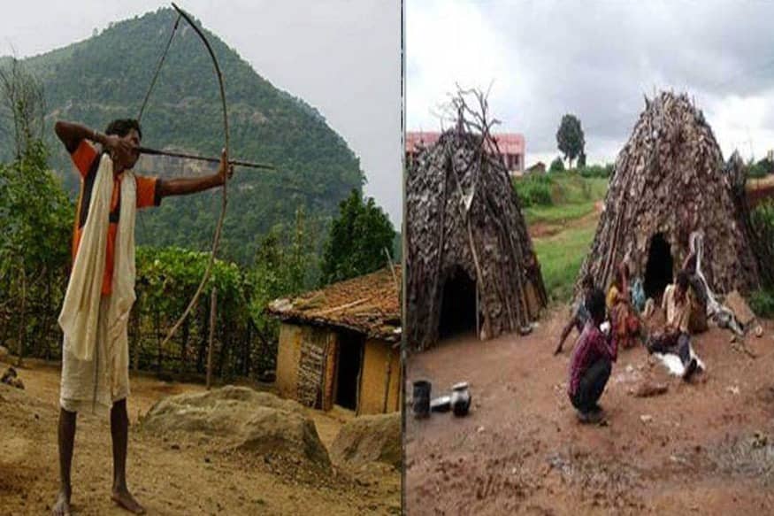 आदिम जनजाति बिरहोर से पीएम मोदी करेंगे संवाद!  देखिये कैसे झारखंड के इस बस्ती में उमड़ी खुशियों की लहर