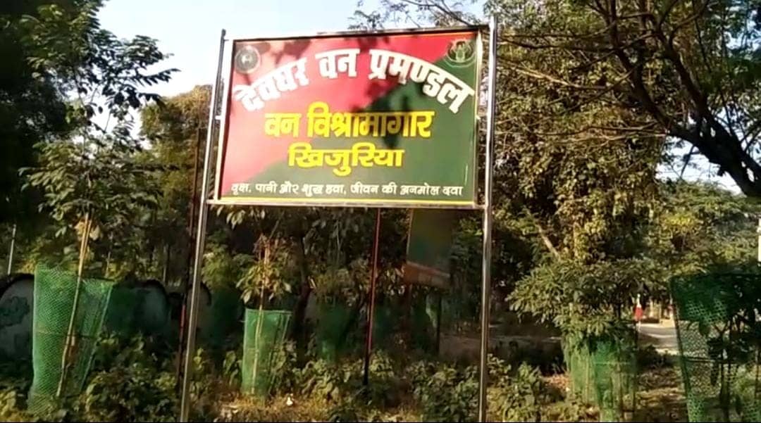 देवघर में आने वाले कांवरिया सहित स्थानियों को मिलेगा नगर वन की सौगात,जोर शोर से कराया जा रहा है निर्माण