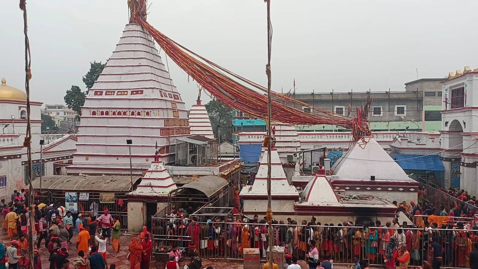 बसंत पंचमी पर बासुकीनाथ धाम में उमड़ी शिव भक्तों की भीड़, आज होगा बाबा का तिलकोत्सव 