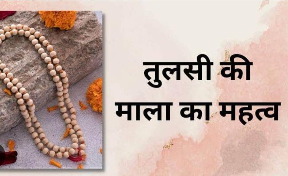 Astrology tips:यदि आप भी आर्थिक तंगी से है परेशान, तो धारण करें तुलसी की माला, हो जायेंगे धनवान, पढ़ें इसको पहनने का सही नियम   