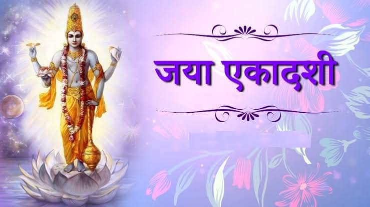 यदि आपने भी रखा है जया एकादशी का व्रत, तो जरुर करें तुलसी से जुड़ा ये चार शुभ काम, माता लक्ष्मी की बरसेगी कृपा   