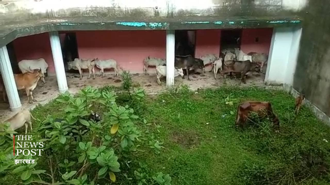 जानवरों के तबेले में तब्दील हुआ महिला औद्योगिक प्रशिक्षण भवन