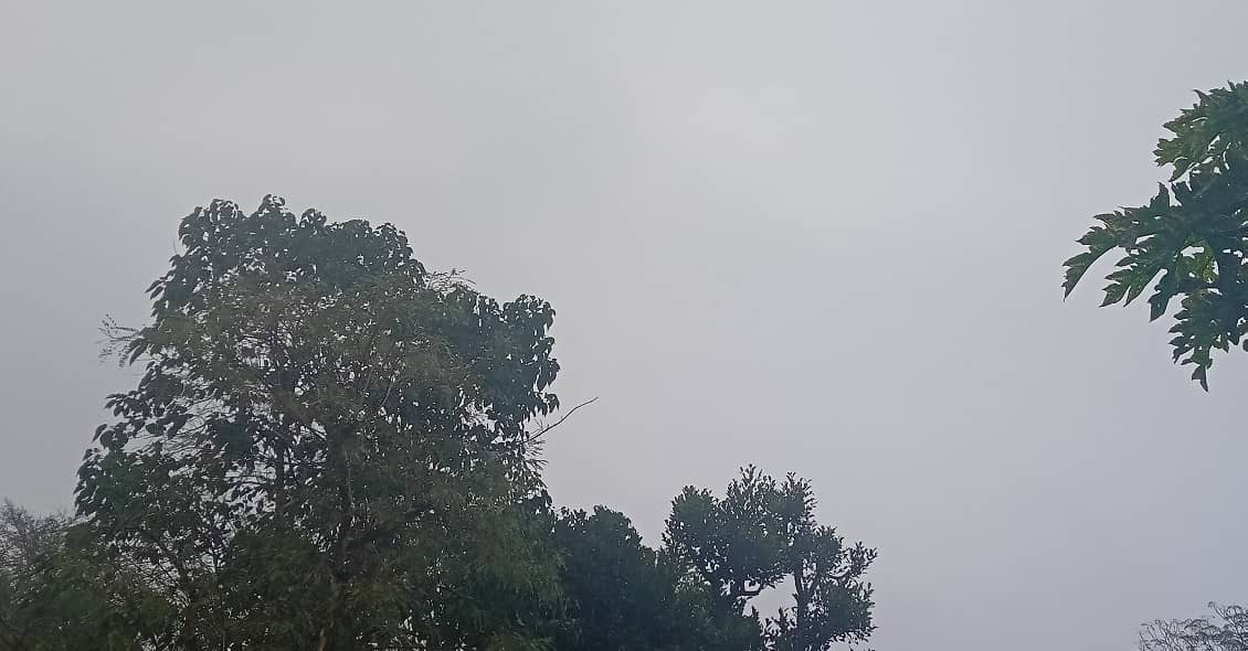 झारखंड के कई हिस्सों में 16 से 18 मार्च तक बारिश के आसार, ठनका गिरने की भी चेतावनी, जानिए अपने जिलों का कैसा रहेगा मौसम