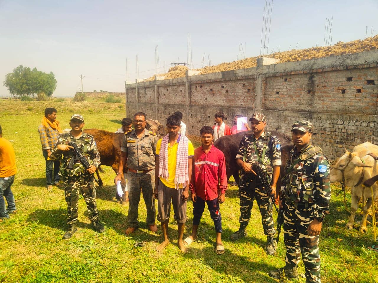 साहिबगंज में धड़ल्ले से जारी है पशु तस्करी का अवैध धंधा, बॉर्डर पर तैनात एसएसबी के जवानों ने किया बड़ा खुलासा