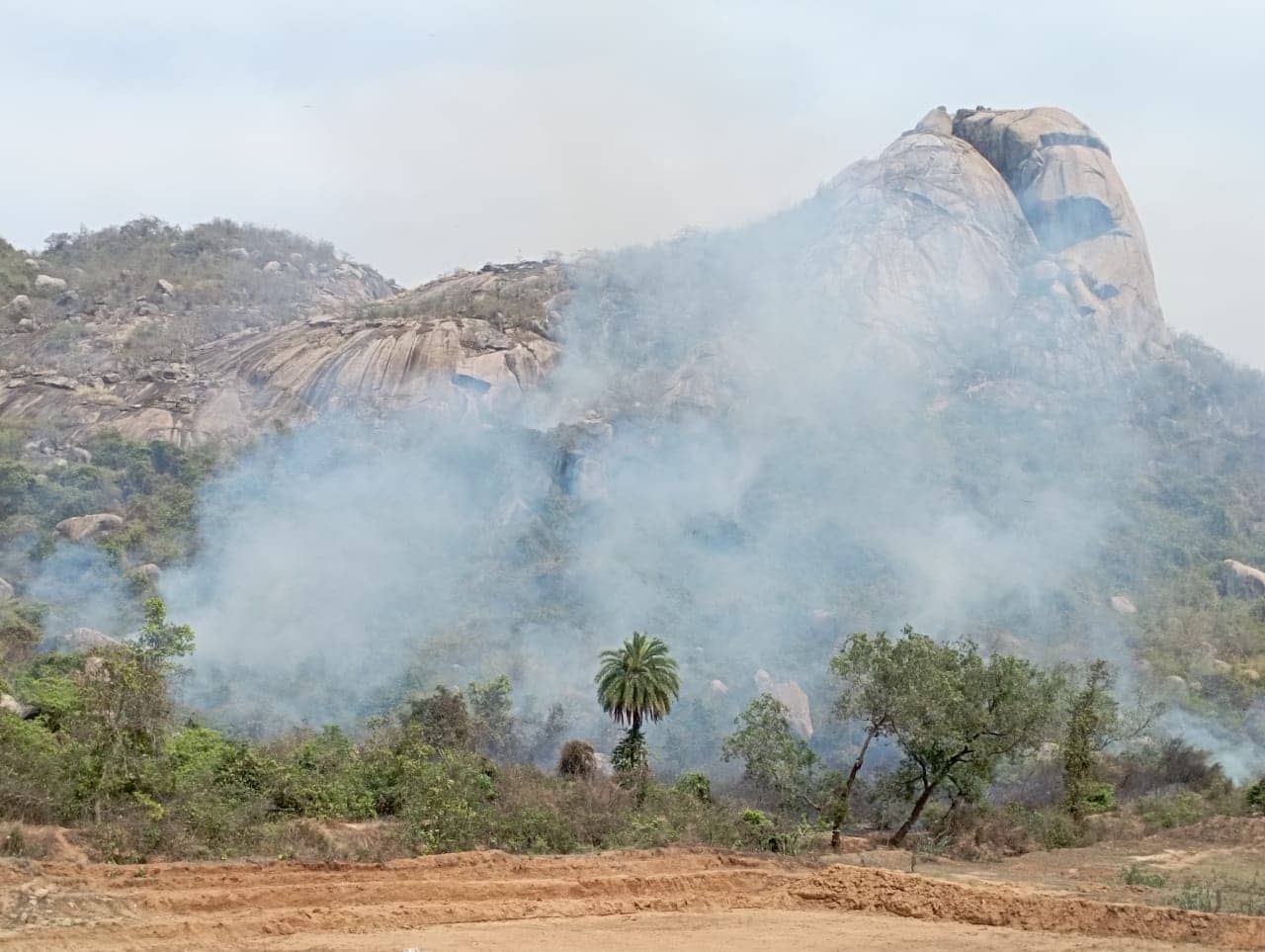 त्रिकुट रोपवे हादसा का आज दो वर्ष पूरा, आखिर कब चालू होगा राज्य का एक मात्र रोपवे, अब तो जंगल में भी लगने लगी आग