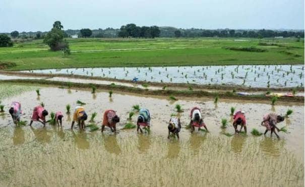 Weather Alert: झारखंड में अगले सात दिनों तक गरज के साथ बारिश के आसार, अलर्ट जारी