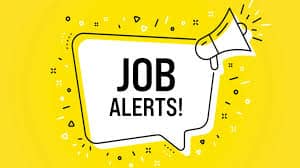 PNB Vacancy 2024: पंजाब नेशनल बैंक में अप्रेंटिस के पदों पर बंपर वैकेंसी, जल्दी करें अप्लाई 