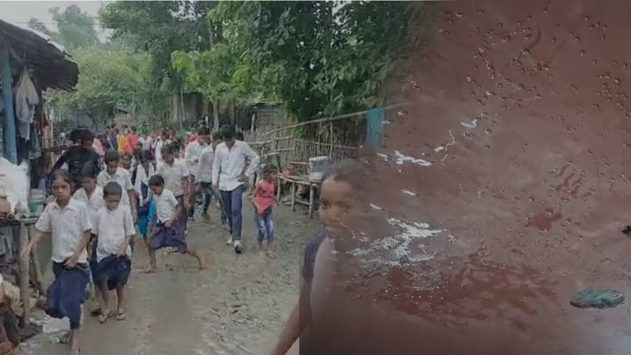 BIHAR NEWS: स्कूल के कुव्यवस्था से परेशान होकर धरने पर बैठे नौनिहाल, सरकार से लगाई गुहार, मिड-डे-मिल खाना भी हुआ मुहाल