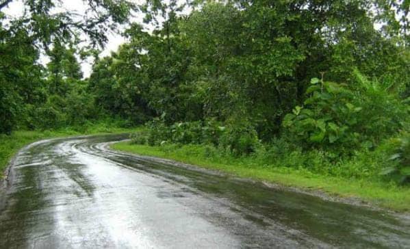 Weather Forecast: झारखंड में आज से अगले पांच दिनों तक ज्यादातर हिस्सों में भारी बारिश की चेतावनी, इन जिलों में अलर्ट जारी