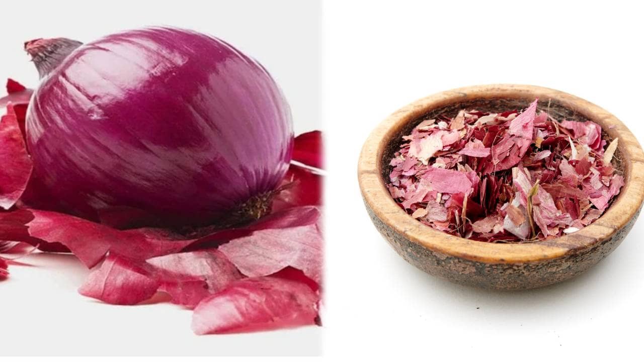 प्याज के छिलकों को फेंकने से पहले जान लें इसके लाभ, स्किन से लेकर बालों तक के लिए गुणकारी