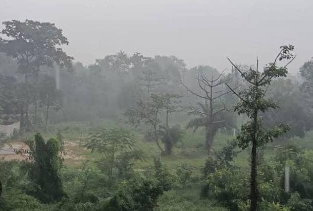 Weather Alert: झारखंड में लगातार बारिश से फ्रीक्वेंसी रेट में आई कमी, आज इन जिलों में भारी बारिश की चेतावनी,येलो और ऑरेंज अलर्ट जारी