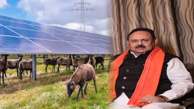 हुसैनाबाद में बनेगा सोलर पार्क, जल्द निकाली जाएगी निविदा,बिजली की समस्या होगी दूर