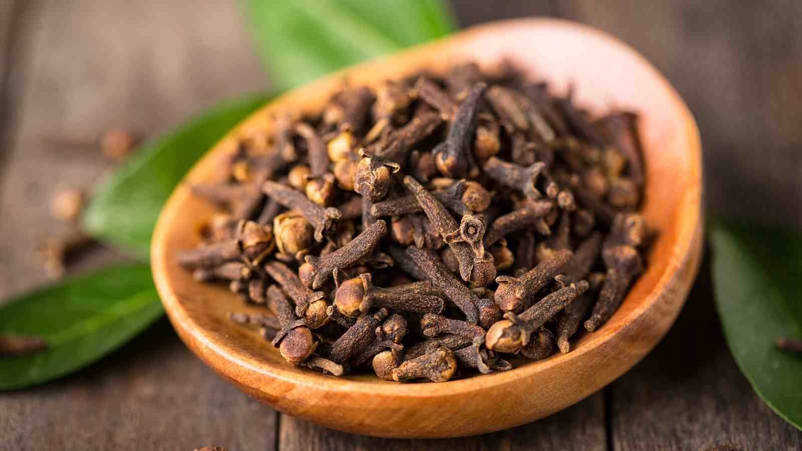 लौंग में छिपा है सेहत का खजाना, रोज़ इस तरीक़े से करेंगे सेवन तो इन सभी बीमारियों से रहेंगे दूर 