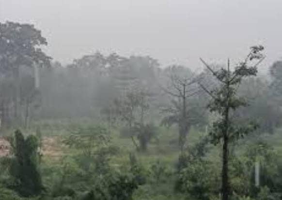 Weather Alert: झारखंड के ज्यादातर हिस्सों में शुष्क, जबकि कुछ हिस्सों में गरज के साथ भारी बारिश की संभावना, इन जिलों में सतर्क रहें लोग 