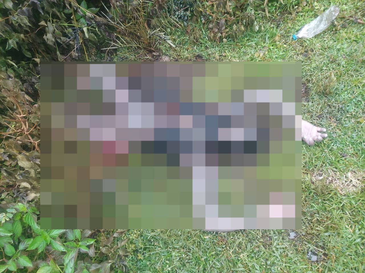 BIG BREAKING : दुमका में युवती काअधजला शव बरामद, जांच में जुटी पुलिस