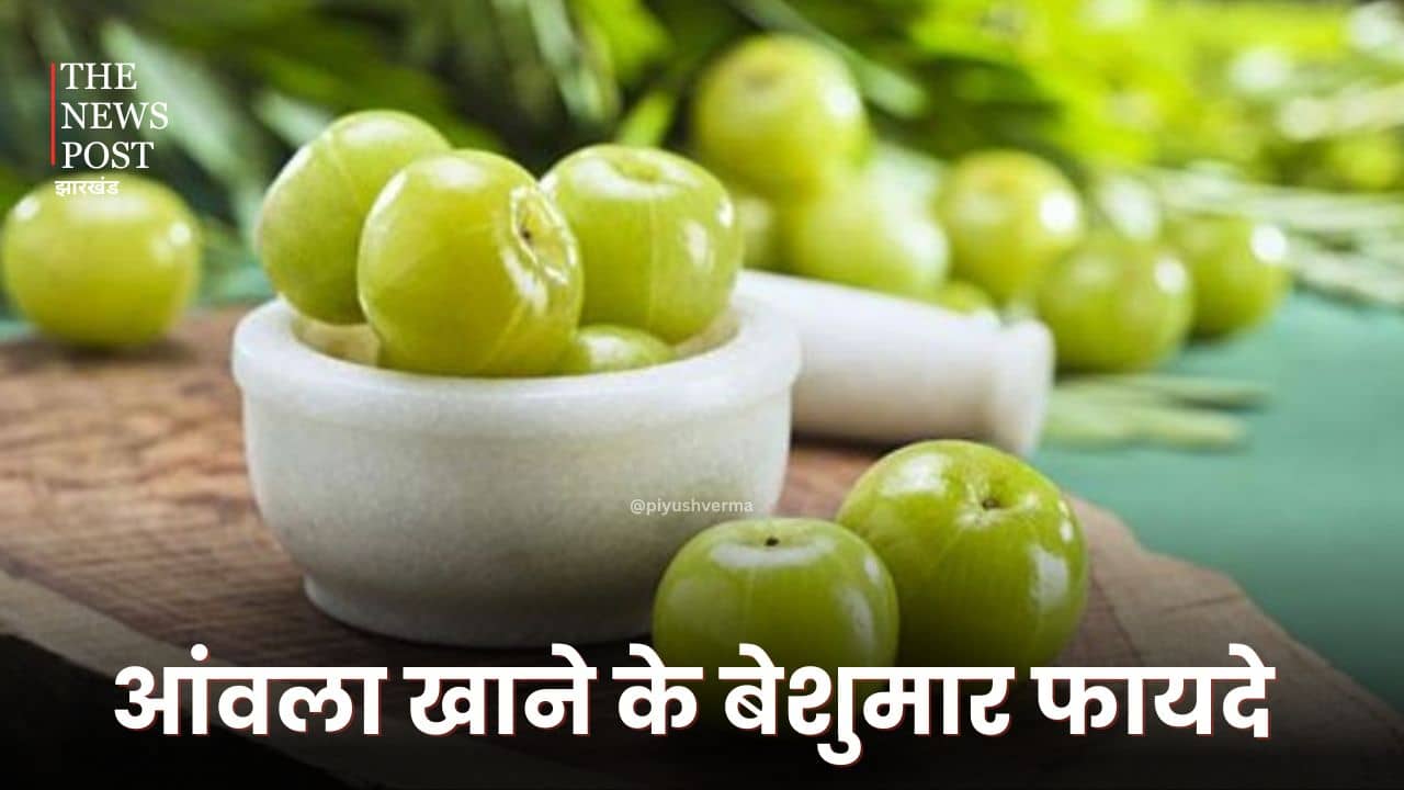 स्वाद में कड़वा लेकिन अमृत से कम नहीं है यह फल, इस तरह से करें इसका सेवन, कई बीमारियों से रहेंगे दूर