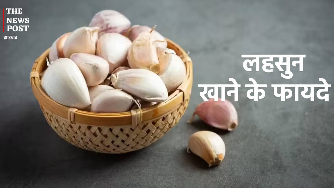Health Tips: सिर्फ खाने में स्वाद ही नहीं बल्कि सेहत के लिए भी बड़ा गुणकारी है लहसुन, इस समय करें इसका सेवन होंगे कई लाभ