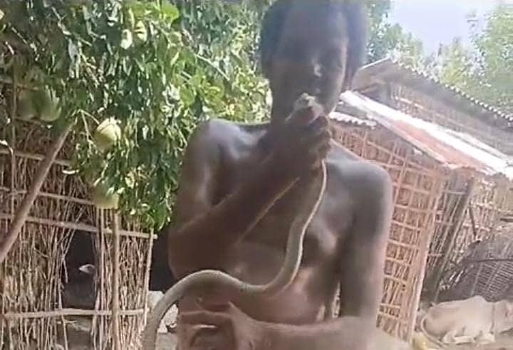 सपेरा बनने का शौक और सांप के साथ वीडियो बनाना बिहार के इस व्यक्ति को पड़ा महंगा,कुछ मिनटों में गई जान