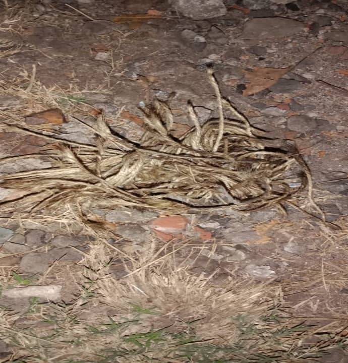 बम धमाकों से थर्राया भौंरा, दहशत का माहौल