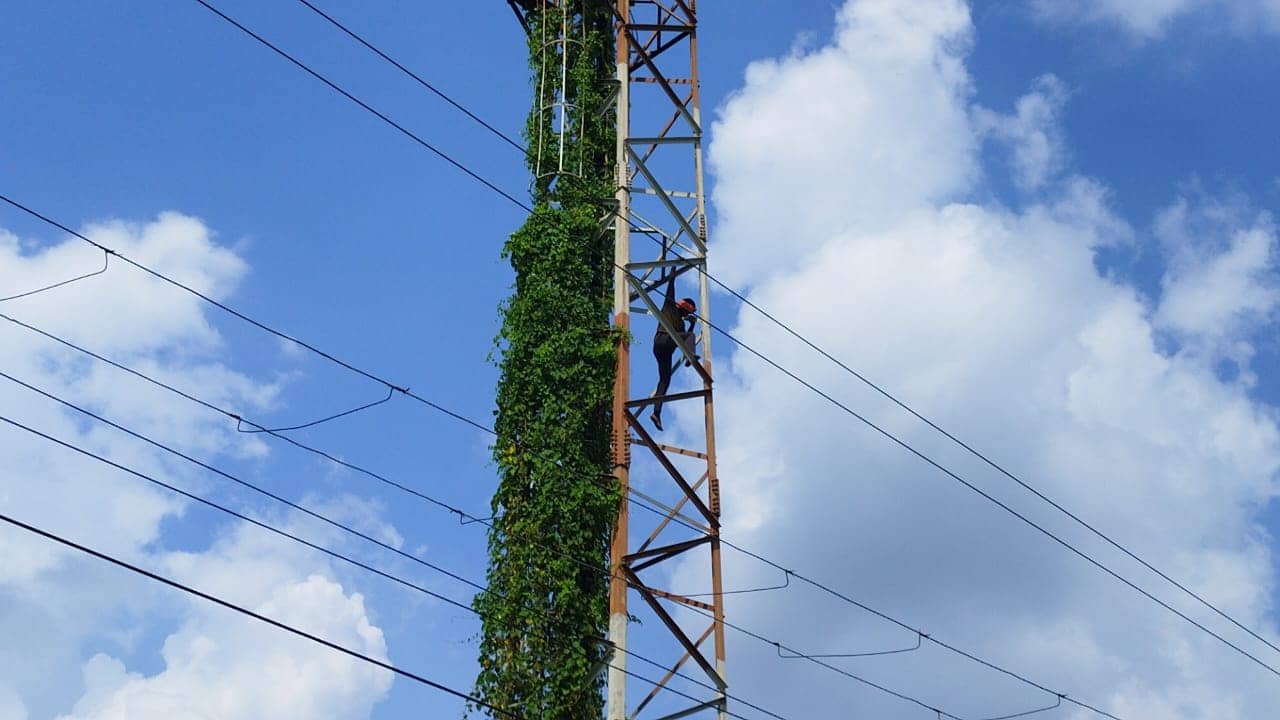 'शोले' के 'वीरू' की तरह मोबाइल टावर पर चढ़ा युवक, घंटो जद्दोजहद के बाद उतरा नीचे, देखिए वीडियों