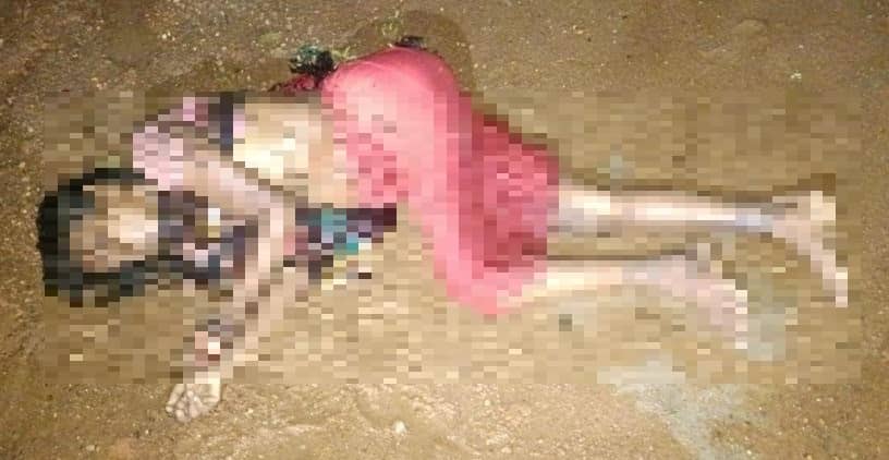 छत्तीसगढ़ से आए हाथी ने मचाई तबाही, महिला को रौंद डाला, जानिए पूरा मामला