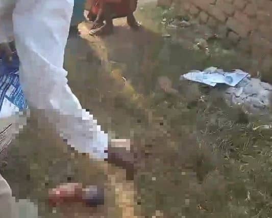 Breaking : गिरिडीह में कुत्तों के झुंड ने नवजात को नोच-नोचकर मार डाला, मची सनसनी