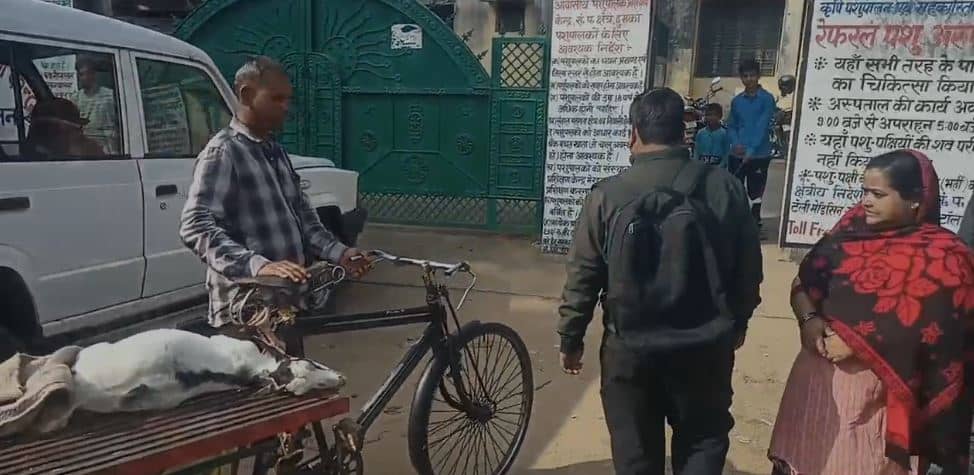 चर्चा में वकील साहेब की गर्भवती बकरी की संदिग्ध मौत, पोस्टमार्टम रिपोर्ट से खुलेंगे राज