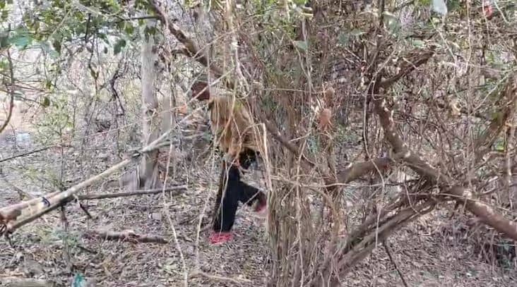 आग में झुलसे जिस युवक को पुलिस ने श्मशान घाट के किनारे से उठाकर PJMCH में कराया भर्ती, पोस्टमार्टम हाउस के पीछे मिला उसका शव