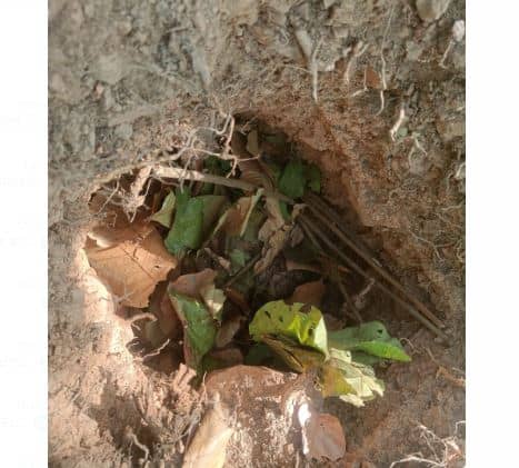 चाईबासा: जराईकेला के जंगलों में सुरक्षाबलों ने चलाया सर्च अभियान, बरामद किए 3 आईईडी बम, मिसिर बेसरा सहित कई नक्सलियों के एक्टिव होने की सूचना