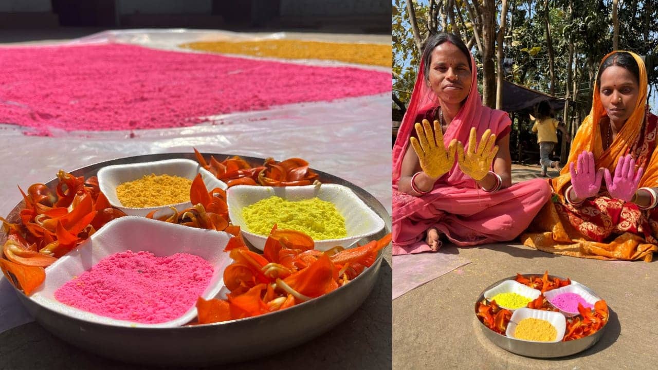 दुमका की होली इस बार होगी बेहद खास, महिलाएं तैयार कर रही है पलाश ब्रांड हर्बल गुलाल