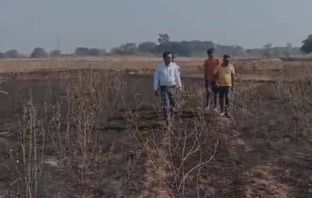 गुमला में आग का कहर: 16 एकड़ में लगी आम बागवानी और अरहर की फसल जलकर राख, किसानों को भारी नुकसान