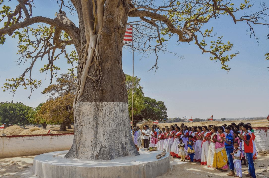 प्रकृति की पूजा और जीवों का सम्मान है सरहुल, जानिए आदिवासियों के इस खास त्यौहार का महत्व