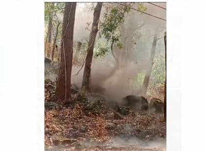 सारंडा के जंगलों में नक्सली हलचल फिर तेज! बरामद किए गए दो आईईडी बम, सुरक्षा बलों ने किया नष्ट