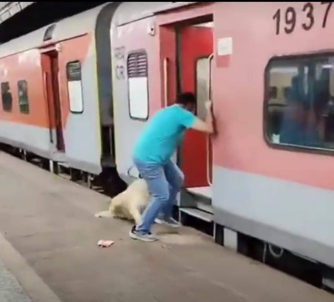 चलती ट्रेन में कुत्ते को लेकर चढ़ रहा था शख्स तभी हो गई ये दुर्घटना, देखिए दिल दहलाने वाली वीडियो