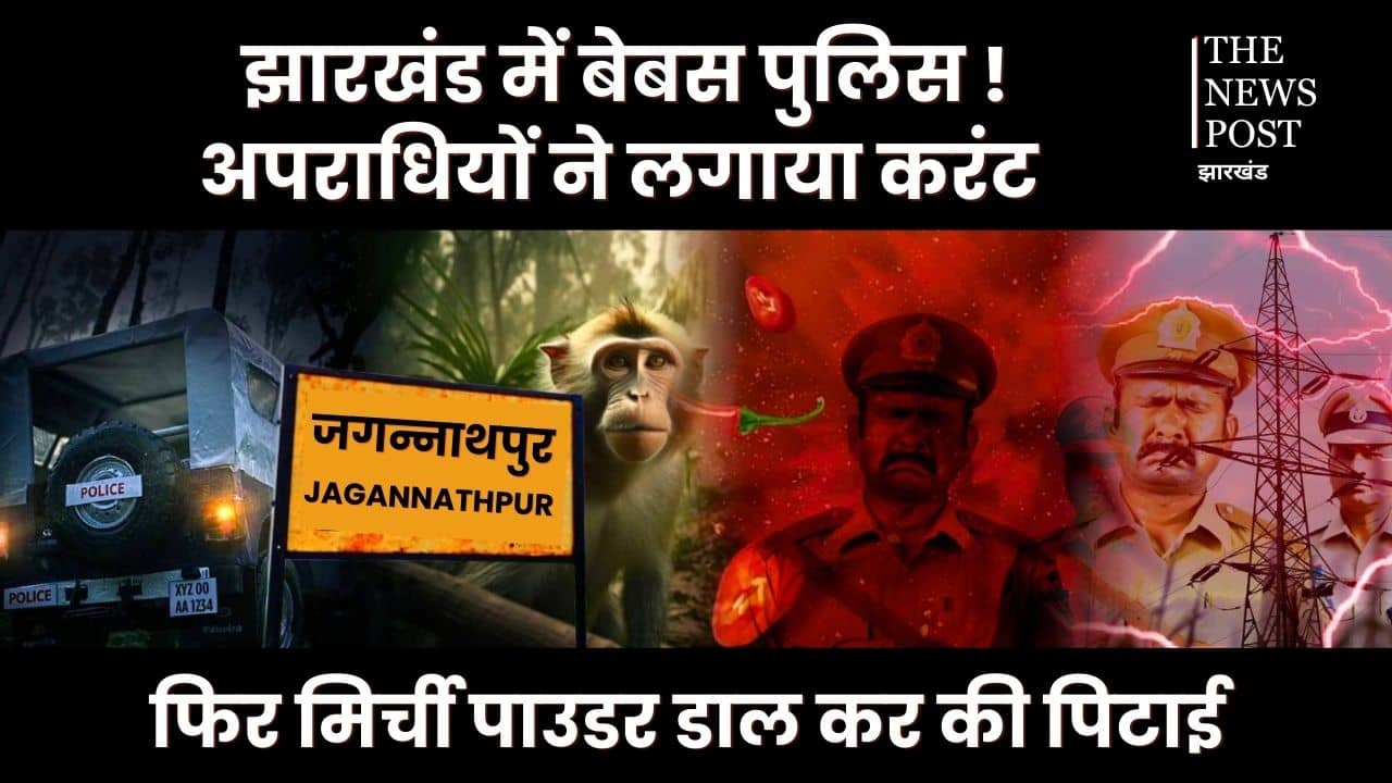 रांची में बंदर का रेस्क्यू करने गई पुलिस और वन विभाग की टीम पर हमला, पहले करंट लगाया फिर आंखों में मिर्ची पाउडर झोंक लाठी से की धुनाई