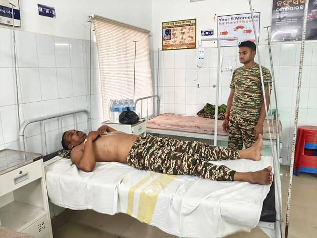 चाईबासा:मधुमक्खी के डंक से घायल सीआरपीएफ जवान,  जराईकेला में आईइडी विस्फोट में बाल-बाल बचे