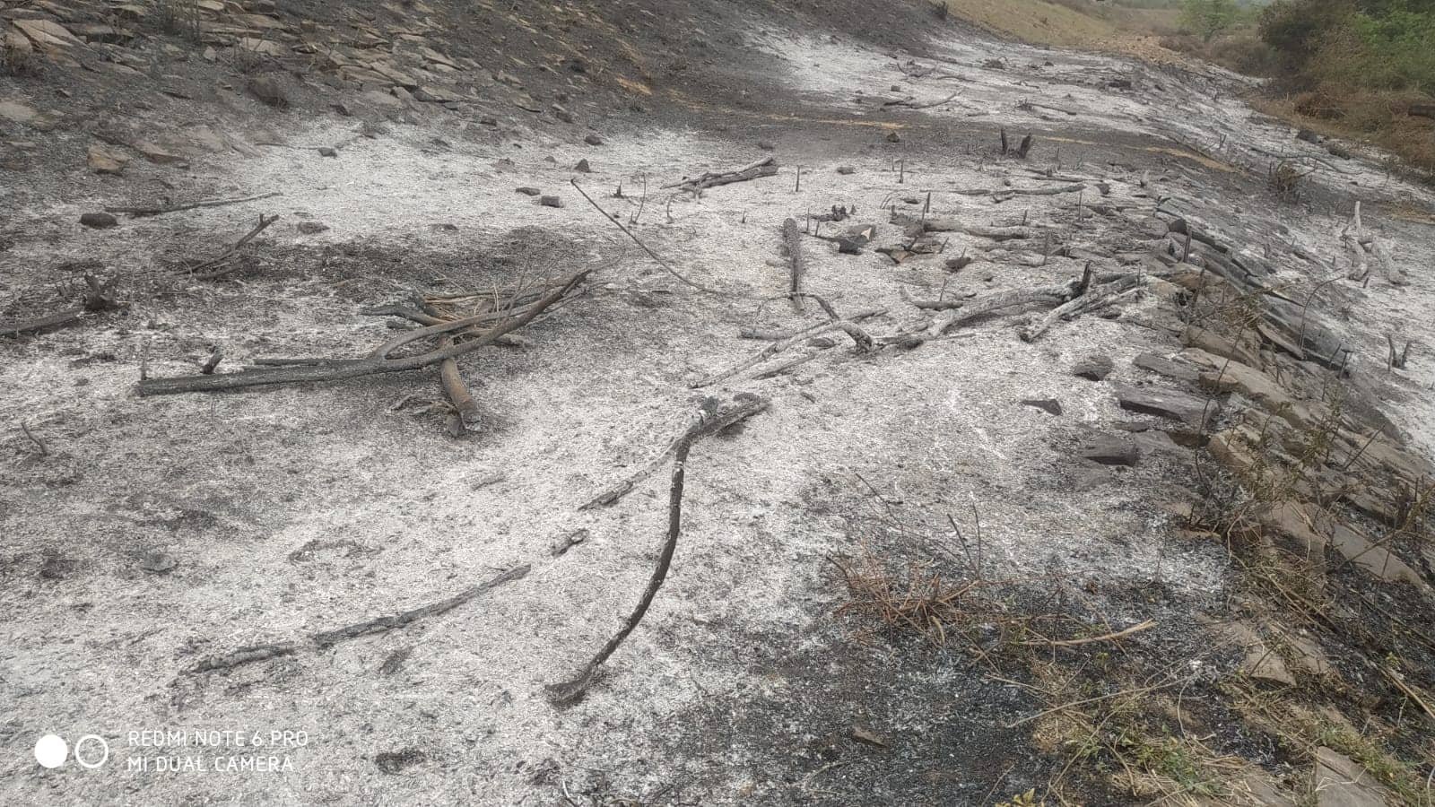 बोकारो: झाड़ियों में आग कैसे लगी,पूछे जाने पर भड़क गए अभियंता, कहने लगे आपको मेरा नम्बर कौन दिया, जानिए क्या है मामला