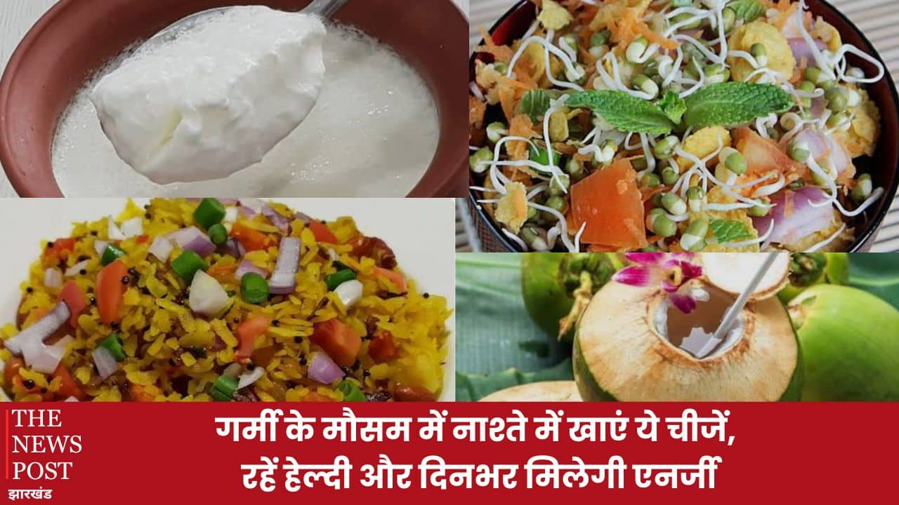 Summer Tips: गर्मी के मौसम में नाश्ते में खाएं ये चीजें, रहेंगे हेल्दी और दिनभर मिलेगी एनर्जी